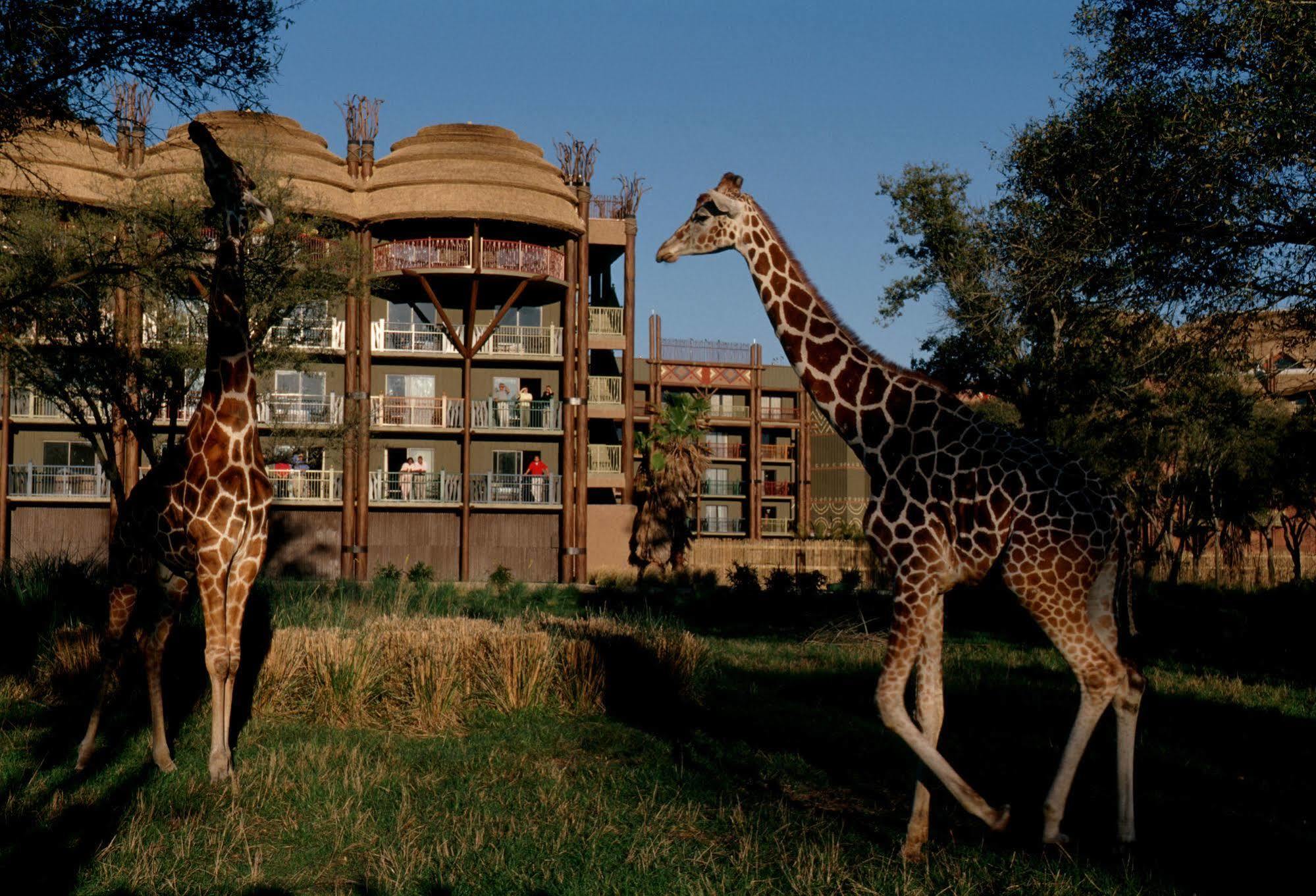 Disney'S Animal Kingdom Villas - Kidani Village Lake Buena Vista Exterior photo